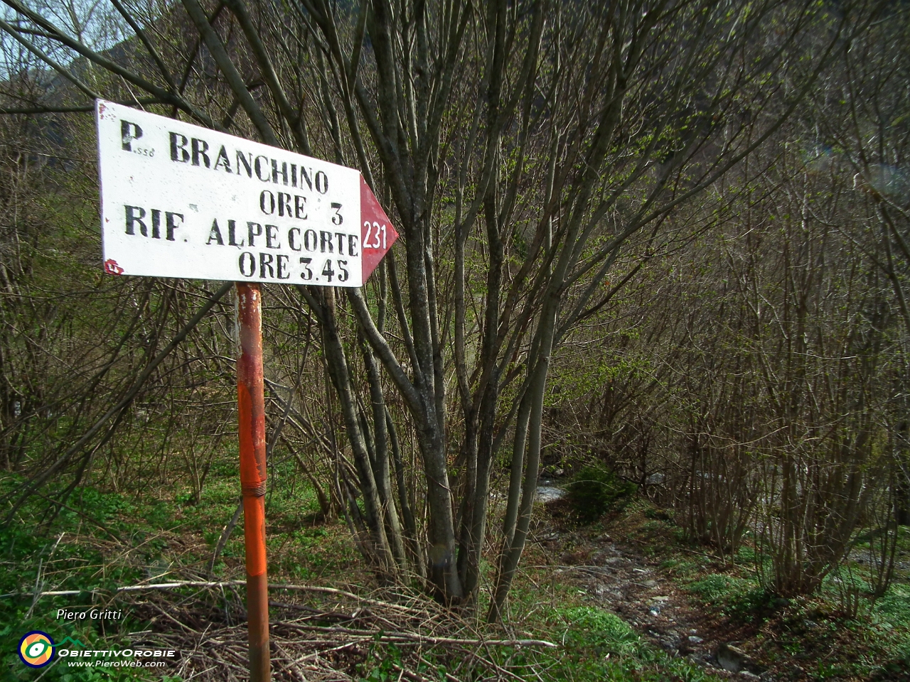 06 Imbocco sentiero 231 (Passo Branchino).JPG